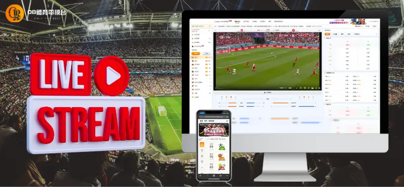 ob體育世足免費線上看